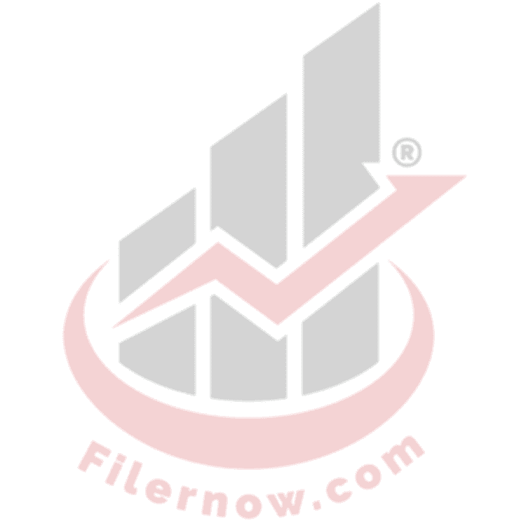 FilerNow representative ready to guide you through registration