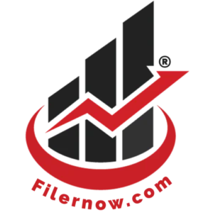 FilerNow.com Official logo - Tax Services and filing brand in Pakistan
